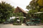 Copal Tree - Southern Belize, April/May 2023-(Trip is Full)