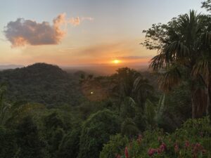 Copal Tree - Southern Belize, April/May 2023-(Trip is Full) - Image 4